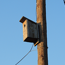 speaker image